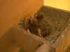 Please click on the thumbnail to enlarge the image!