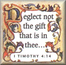 bs3.jpg (19056 bytes)