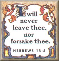 bs5.jpg (18235 bytes)