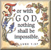 bs7.jpg (16977 bytes)