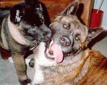 Dalyon & pup