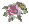 (*)