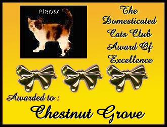 The DCC Award Of Excellence