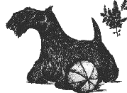 scottie with ball