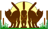 cattails