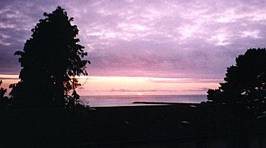 Room with a view!