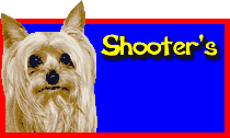 Shooter's
     Cool Site Award
