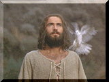 Dove lord