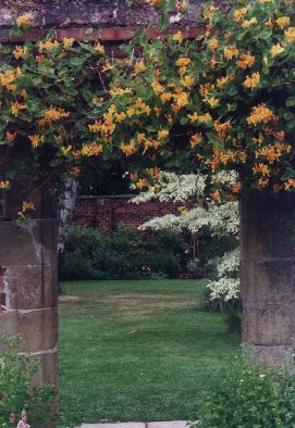 �secret garden