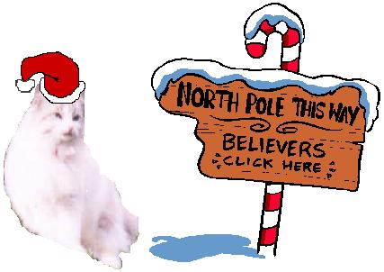 To the North Pole