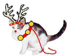 Freya the red nosed Reincat