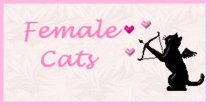 Female Cats