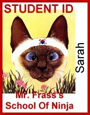 Mr. Frass's School of Feline Ninja Warriors