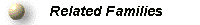 Surnames of related families, unknowns