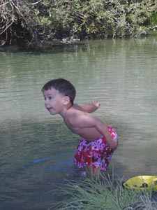 How far did that rock go?