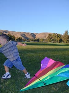 Every kid ought to get the chance to fly a kite.