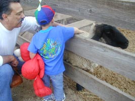 The sweetest little sheep.