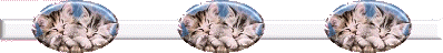 set10-bar2.gif (2283 bytes)