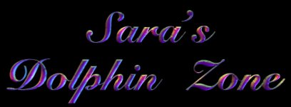 /user/SaraDZLogo.jpg