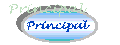 Página Principal