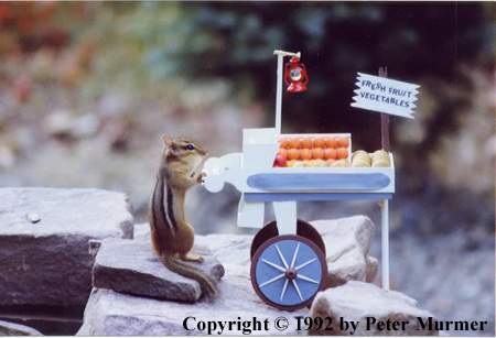 Selling fruit