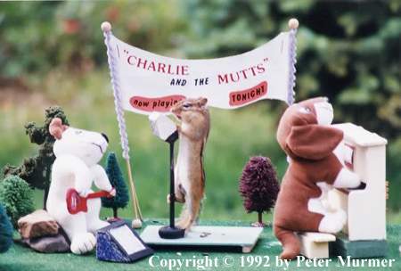 Charlie in concert