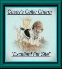 Casey's Celtic Charm