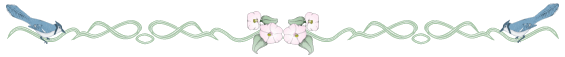 cot-blj_line.gif (7362 bytes)