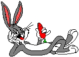 bugs