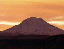 MT
