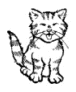 cat.jpg (4081 bytes)