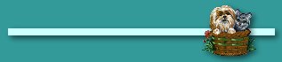 Divider Bar