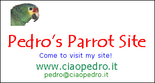 Pedro the Parrot's site