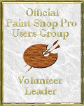 Volunteer Leader
