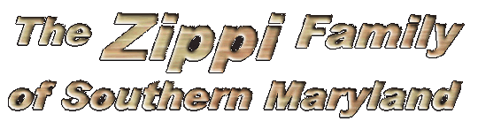 zippi
