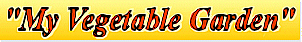 Vegi Banner