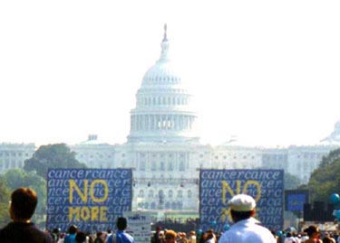 /user/Capitol2.JPG