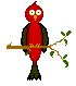 bird3.gif (2203 bytes)