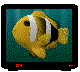 animalstv.gif (65917 bytes)
