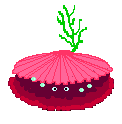 clam2.gif (3847 bytes)