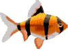 fish14.gif (9605 bytes)