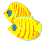 fish15.gif (2662 bytes)