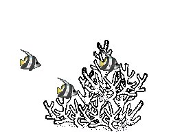 reef_fish.gif (14108 bytes)