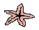 starfis2.gif (1061 bytes)