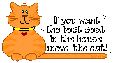 catseat.gif (2648 bytes)