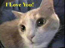 I Love You!