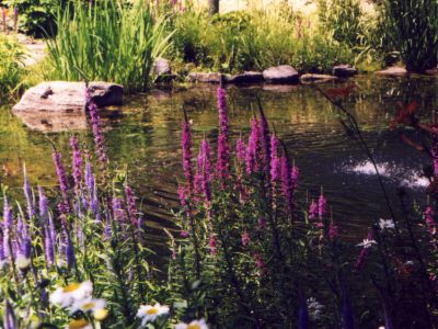 l'tang au centre de la nature