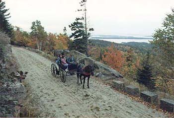 Carriage trails in Acadia National Park