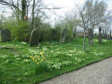 Paull churchyard, Spring 2004
