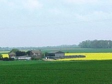 South Pasture